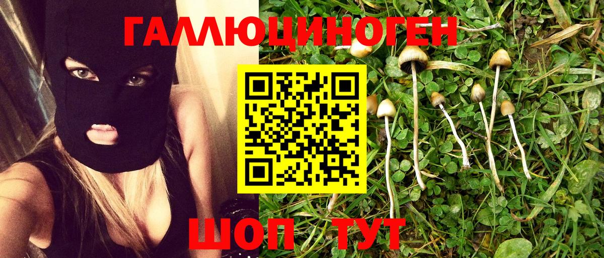 Псилоцибиновые грибы Psilocybine cubensis  Вход с VPN  Санкт-Петербург 